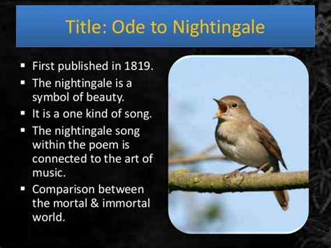  The Nightingale and the Weaverbird: Un Ritorno al Mito Attraverso il Canto e il Tessuto?